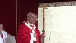 POPE PALM SUNDAY VOSOT