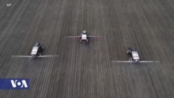 Documentary Film Explores How Soil May Combat Climate Change