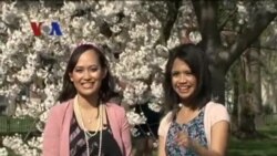 Festival Bunga Sakura 2013 (2) - Dunia Kita