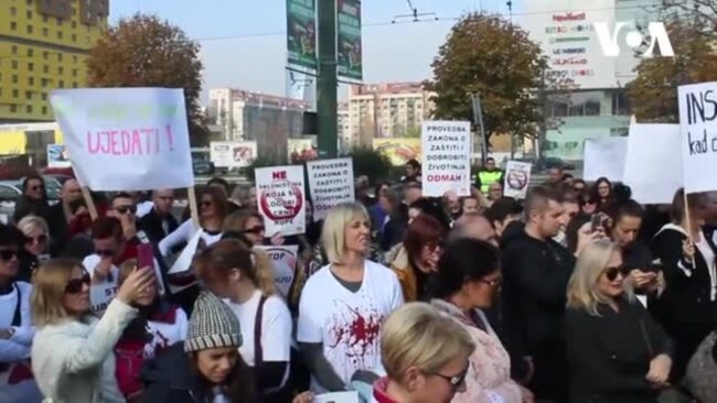 PROTEST U SARAJEVU: Audio snimak pseće boli u azilu