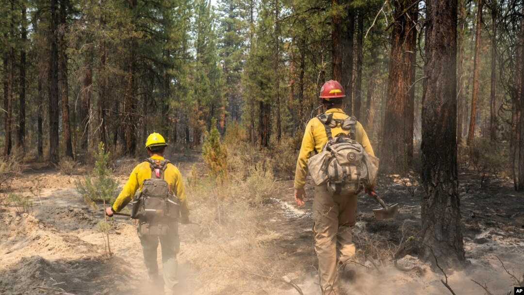 Los bomberos Garret Suza, a la derecha, y Cameron Taylor, del Servicio Forestal de Chiloquín, buscan puntos calientes en el lado noreste del Bootleg Fire, el miércoles 14 de julio de 2021, cerca del río Sprague, Oregon (Foto AP / Nathan Howard)