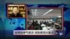 VOA连线：台湾选举气氛浓，成陆客观光重点