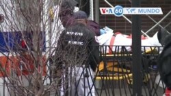 Manchetes mundo 19 novembro: EUA ultrapassou 250 mil mortes por COVID-19