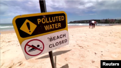 Nine beaches in Sydney, Australia, were closed to bathers Jan. 14, 2025, after small white and gray balls of debris washed up on the shores.