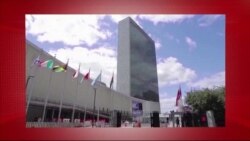 د ډیوه د روانو چارو خپرونه په ټي وي
