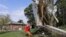 Residentes en Bennet, Nebraska, tratan de desprender la sección lateral de una casa incrustada en un árbol.