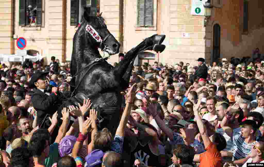A horse rears in the crowd during the traditional Sant Joan (Saint John) festival in the town of Ciutadella, on the Balearic Island of Minorca, Spain, June 23, 2019.