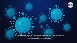 Cómo EE.UU. vota: Coronavirus, voto en pandemia 