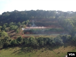 Some farmers in Vietnam are transitioning from agriculture to other kinds of work, creating questions about use of land, which is technically owned collectively in the communist nation.