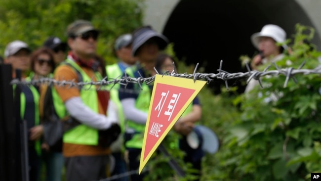 韩国徒步旅行者在非军事区和平步道上看到地雷的标志(2019年6月14日)