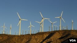 Las turbinas de los molinos de viento para generar energía eléctrica son fabricadas incluyendo tierras raras.