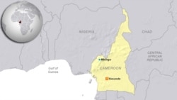 Cameroun: la haine publique et la stigmatisation socio -ethnique prennent des proportions inquiétantes