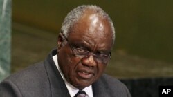 FILE - Namibia's Hifikepunye Pohamba addresses the U.N. General Assembly in New York, Sept. 25, 2012.