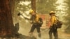 Forest Service Maxed Out as Wildfires Blaze Across US West