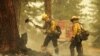 Forest Service Maxed Out as Wildfires Blaze Across US West
