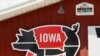 10 Iowa State Student-Athletes Test Positive for Coronavirus
