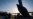 US Congressmen Visit Kabul Airport Amid Evacuation Effort