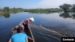 Mujeres en pleno proceso de pesca con atarraya en Cerrito, localidad del Caribe colombiano, en diciembre de 2024.