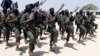 Somali Government Says It Seized Military Shipments Bound for Al-Shabab 