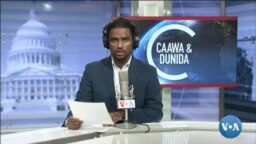 Caawa iyo Dunida