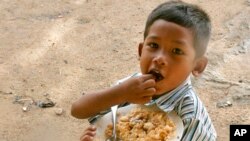 Cambodia produces enough rice to feed its people but experts say many people are not getting enough vitamins and minerals.(AP Photo/Heng Sinith)