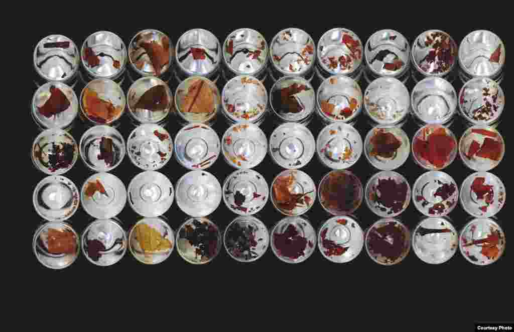 Plant samples are readied for radiocarbon dating. (Credit: Richard Staff)