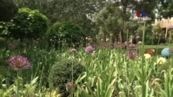 ԱՌԱՆՑ ՄԵԿՆԱԲԱՆՈՒԹՅԱՆ. Ինչպես երեխաներին ավելի մոտ դարձնել բնությանը