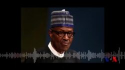 Hirar Muryar Amurka Da Buhari Bayan Ganawarsa Da Trump