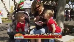 Buenos Días América 