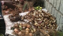 Inyanga Elodumo Ithi Kumele Abantu Baphoziswe Ukuze Baphile Kahle