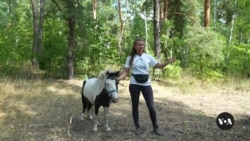 Time with horses is helping some Ukrainian kids deal with war