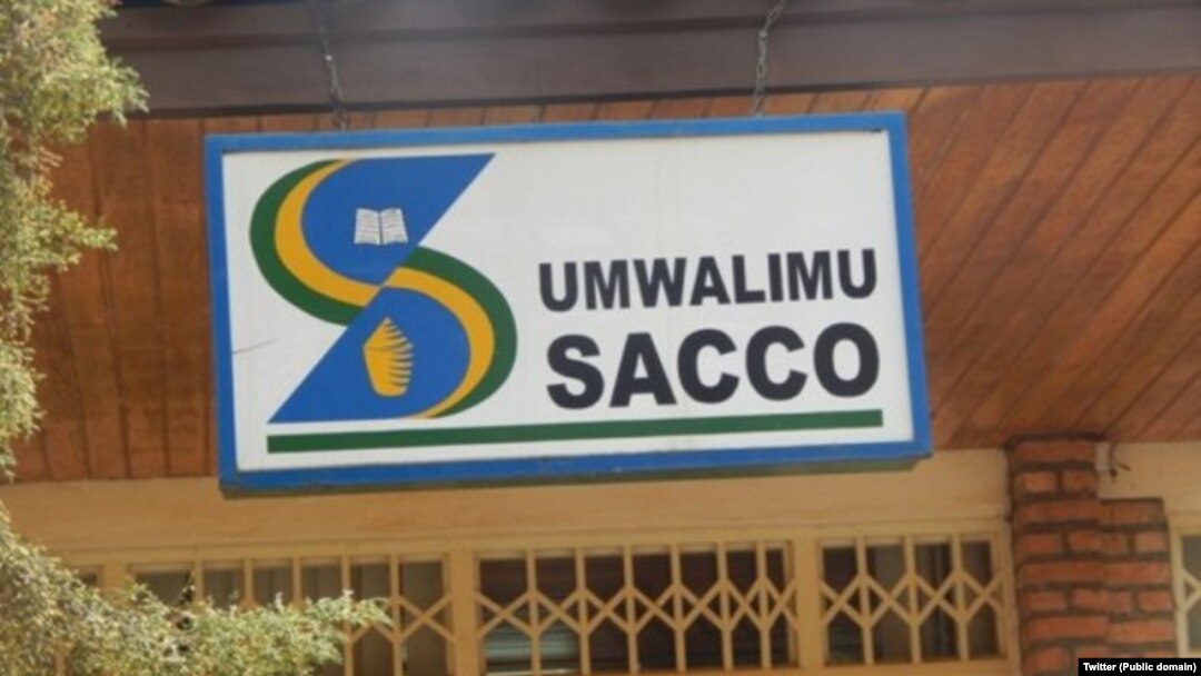 Umwarimu Saco 