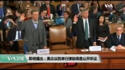 【美国观察】2019年11月14日