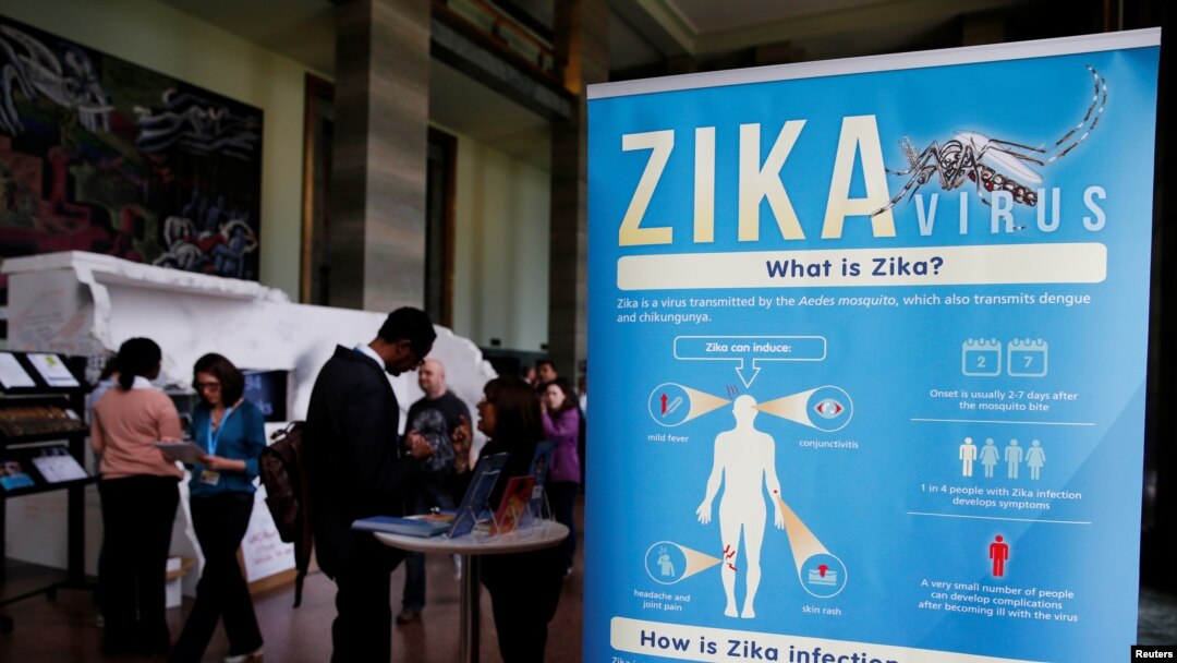 FILE - Material to prevent Zika infection by mosquitoes are displayed at the 69th World Health Assembly at the United Nations European headquarters in Geneva, Switzerland, May 23, 2016.