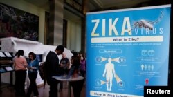 FILE - Material to prevent Zika infection by mosquitoes are displayed at the 69th World Health Assembly at the United Nations European headquarters in Geneva, Switzerland, May 23, 2016.