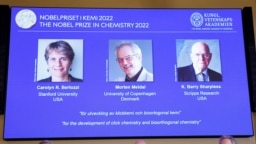 Para pemenang Nobel Kimia 2002: Carolyn R. Bertozzi (AS), Morten Meldal (Denmark) dan K. Barry Sharpless (AS) dalam konferensi pers di The Royal Swedish Academy of Sciences di Stockholm, Swedia, 5 Oktober, 2022. (TT News Agency/Christine Olsson via REUTERS)