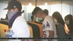 اخبار شامگاهی