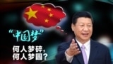 “中国梦”提出四周年，何人梦碎，何人梦圆？