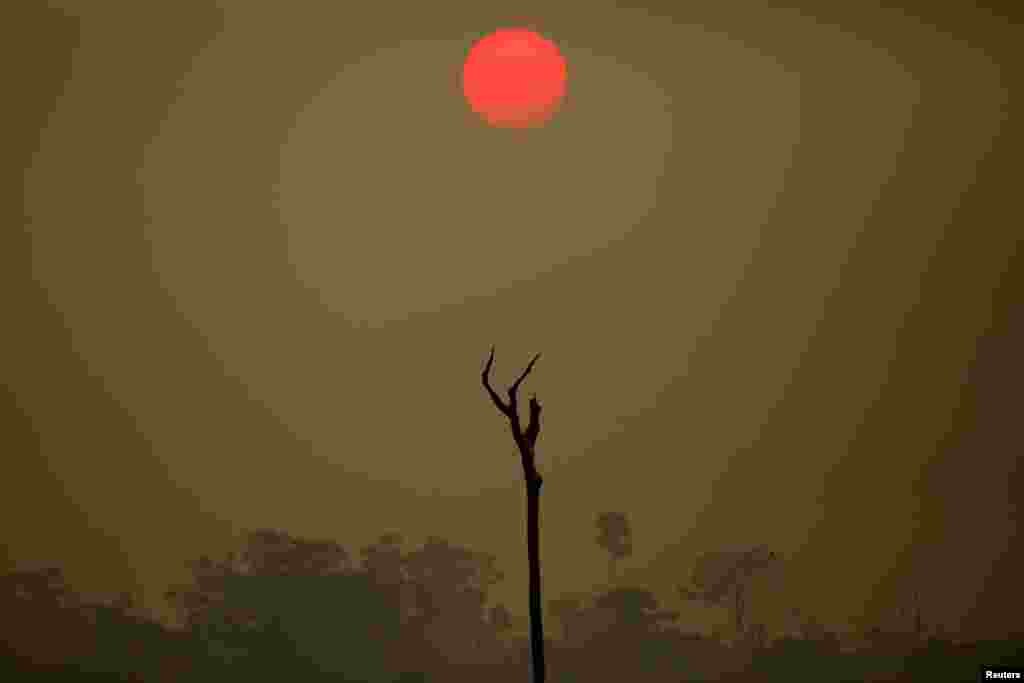 A view of a deforested area at the National Forest Bom Futuro in Rio Pardo, Rondonia state, Brazil, Sept. 12, 2019.