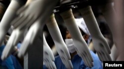 FILE - A worker collects rubber gloves at a factory outside Kuala Lumpur, Malaysia, March 11, 2008. On Oct. 1, the U.S. banned imports from Malaysian rubber glove maker WRP Asia Pacific over evidence of forced labor. 