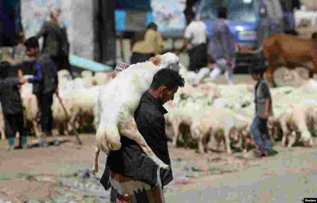 Seorang pria membawa hewan kurban di pasar ternak ketika warga Yaman merayakan Idul Adha di tengah krisis ekonomi, di Sanaa, Yaman. (Reuters)&nbsp;