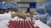 Lab workers in the Bandung BioFarma facility in Indonesia examine vials that have vaccine vial monitor technology incorporated into their labels, in Bandung, Indonesia, February 2017. (U. Kartoglu/PATH)