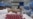 Indonesia Steps Up in COVID-19 Vaccine Race