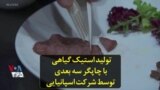 تولید استیک گیاهی با چاپگر سه بعدی توسط شرکت اسپانیایی