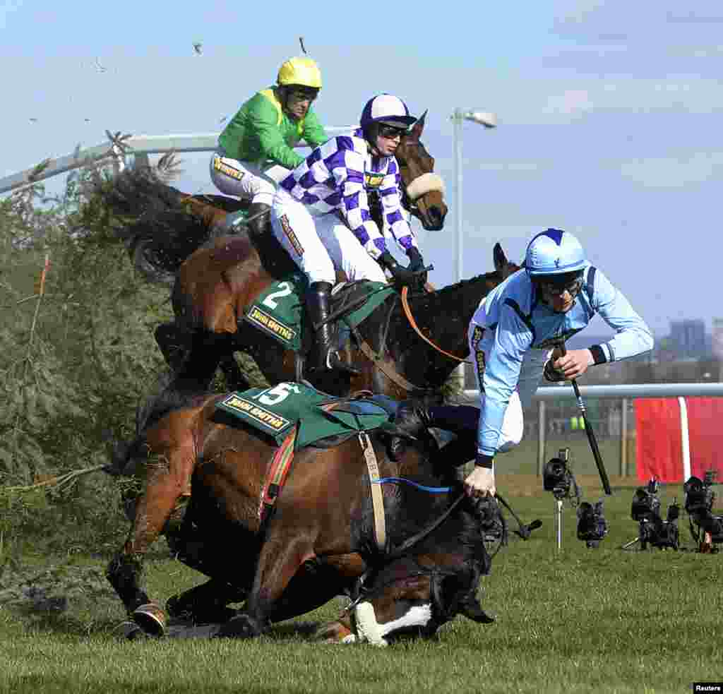 Joki Ben Crawford terjatuh dari kudanya &#39;Paddy Mourne&#39; dalam lomba balap kuda Hunters Fox Steeple Chase di kota Aintree, Inggris utara.