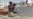 Yemen's Shi'ite Rebels Take Neighborhood in Aden, Occupy Palace