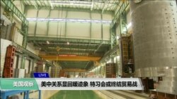 专家视点(王维正)：美中关系显回暖迹象，“特习会”或终结贸易战