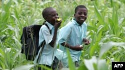 Des enfants dans un champ de maïs à Harare, Zimbabwe, 2 février 2010.