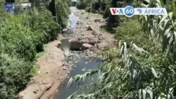 Manchetes africanas 11 novembro: Etiópia: Explosão esta quarta-feira em Adis Abeba deixa um ferido