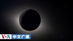 美国之音中文广播 (2026年4月8日)